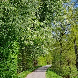 Respekt und Würdigung