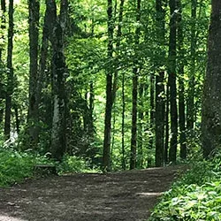 Schutz Sensibilität Empathie